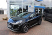 Ford Puma Titanium X titanium  acc  beh. wss & sitze rfk  gjr  navi