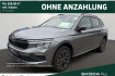 Skoda Kamiq Tour tour tsi dsg fahrassistenz paket infotainment pake