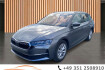 Skoda Octavia Selection 2.0 tdi dsg selection*dab*sideassist