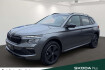 Skoda Kamiq Monte Carlo monte carlo 1 5 tsi 110 kw 7 gang dsg dienstwagen