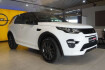 Land Rover Discovery SE sport awd |dynamic se|4xsihzg|kamera|