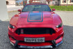 Ford Mustang Fastback  Mustang gt 350 shelby unfallfrei