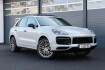 Porsche Cayenne Platinum Edition 2.9 v6 s platinum edition/bose/4xshz/r21