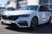 Skoda Octavia RS Plus rs plus*dsg*led*sthzg*virtual*ahk*