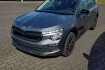 Skoda Kamiq Selection selection led aac sitzheizung kamera