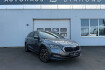 Skoda Octavia Style 2.0 tdi * dsg * headup * leder *