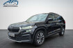 Skoda Kodiaq Tour tour/navi/acc/vc/kamera/matrix/ahk/19?/