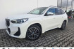 BMW X1 M-Sport sdrive18ia m sport sportpaket ad ahk klappbar ahk