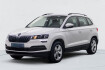 Skoda Karoq Ambition 2.0 tdi 150 4x4 dsg7