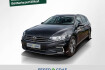 Volkswagen Passat SW GTE Passat variant 1.4 gte ahk/kamera/travelass/sitz/17?