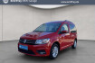 Volkswagen Caddy Comfortline 2.0 tdi dsg comfortline shz+rfk+anhangerkupp