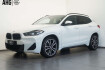 BMW X2 M-Sport sdrive 20 i m sport led/headup/keyless/kamera