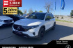 Mercedes EQB Electric Art Benz eqb 300 eqb 300 4m electricart 20?amg pano ahk 360  np71