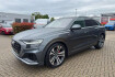 Audi Q8  50 tdi mild hybrid 3.0 quattro standh. ssd bang&