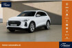 Audi Q5  tfsi quattro ahk/p dach/acc/360/19 »/bei.dis.