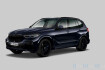 BMW X5  m sport 360  laser panorama h k acc 22