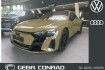 Audi RS e-tron GT  Rs e tron gt   np: 159.000 ?