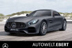 Mercedes AMG GT  benz amg gt  benz amg gt gtc pano dynam+ perf.sitz/aga noopf carbon magno