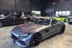 Mercedes AMG GT  benz amg gt  benz amg gt amg dynamic plus paket/grau matt/carbon