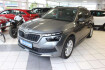 Skoda Kamiq Style style opf ahk led kamera smartlink tempomat