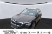 Skoda Kamiq Tour 1.0 tsi tour sitzhzg. pdc bluetooth tem