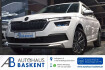 Skoda Kamiq Tour 1.0 tsi tour*kamera*led*shz*pdc*alu