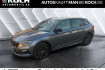 Skoda Scala Monte Carlo 1.5 tsi dsg monte carlo pdc rfk shz wss behe