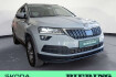 Skoda Karoq Clever 2.0 tdi clever 4×4 shz navi w lan acc led