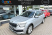 Skoda Kamiq Style style *virtual*el sitz*kamera*soundsystem*