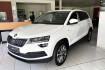 Skoda Karoq Clever clever 2.0tdi/garantie/apple/led/wr/dab