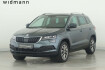 Skoda Karoq Clever clever 4×4 *ahk*ruckfahrkamera*lenkradhzg.