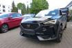 Cupra Formentor  shz acc lhz automatik 19 zoll kamera