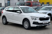 Skoda Kamiq Selection 1.0 tsi selection klima sitzhzg ahk 5j gar