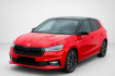 Skoda Fabia Monte Carlo 116ps dsg monte carlo led wireless 17zoll