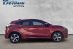 Ford Puma ST X st line*acc*kamera*gj reifen*