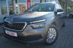 Skoda Kamiq Active 1.0 active led pdc sitzheizung dab