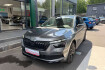 Skoda Kamiq Monte Carlo monte carlo navi panorama kamera