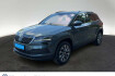 Skoda Karoq Ambition 1.5 tsi ambition dsg navi kamera keyless
