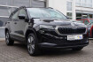 Skoda Karoq Ambition ambition*dsg*led*pdc*kamera*ahk*
