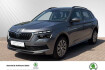 Skoda Kamiq Tour tour klima navi ruckfahrkamera kurvenlicht