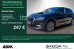 Skoda Fabia Tour tour 1.5 tsi dsg led navi rfk pdc gra shz