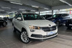 Skoda Karoq Style 1.5 tsi style amb+vc+e sitze mit mem+e kl.