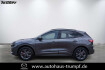Ford Kuga ST-Line X 2.0 st line x/standheizung mit ffb/navi/incl.w rad