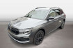 Skoda Kamiq Tour tour 1.0 tsi dsg matrix led navi acc ruckfahrka?