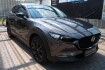 Mazda CX-30 NAGISA Cx 30 2 5 e skyactiv g 140 m hybrid nagisa 2wd