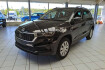Skoda Karoq Ambition 1.5 benzin 150ps dsg ahk led klima ruckfahrk.