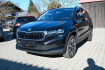 Skoda Karoq Style 2.0l tdi dsg style/panorama/matrix led/ahk