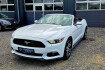 Ford Mustang Fastback  Mustang convertible sport  automatik  ruckfahrkamera