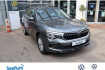Skoda Kamiq Essence 1.0 tsi dsg essence smartlink sitzhzg.