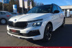 Skoda Kamiq Monte Carlo kamiq monte carlo dsg ahk ab werk matrix sw ?.